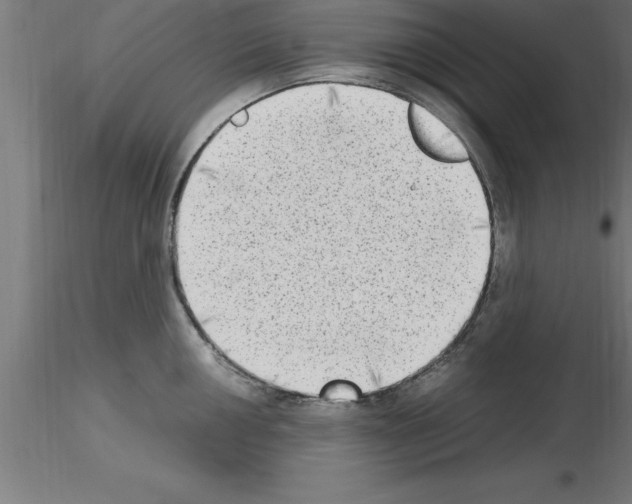 X0000115281050200912111222