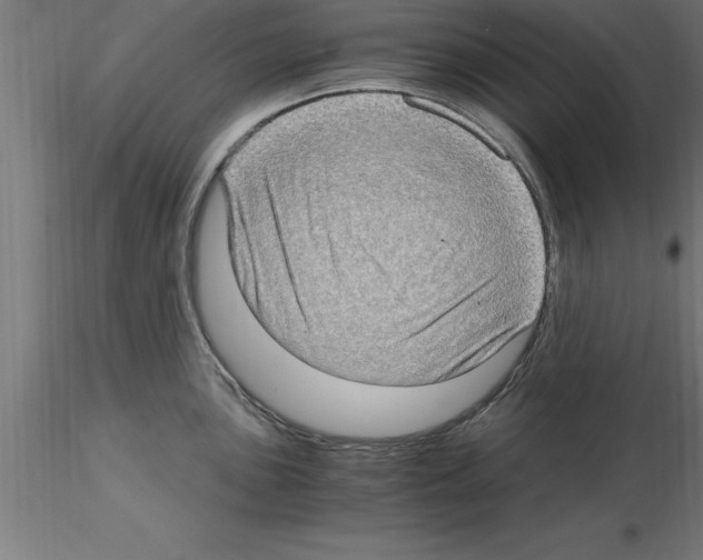 X0000115281051200912111222