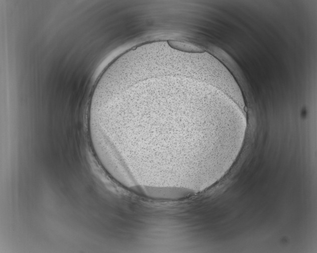 X0000115281052200912111222