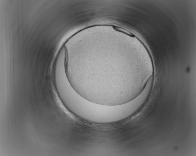 X0000115281053200912111222