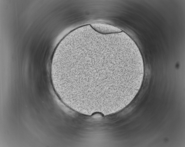 X0000115281054200912111222