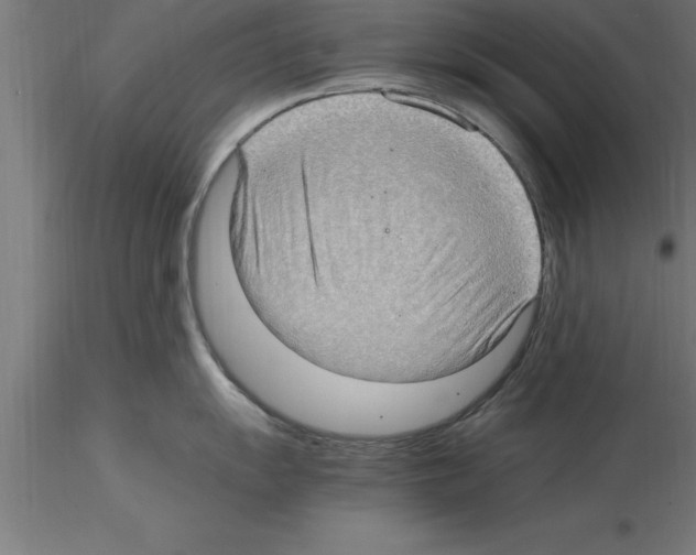 X0000115281055200912111222