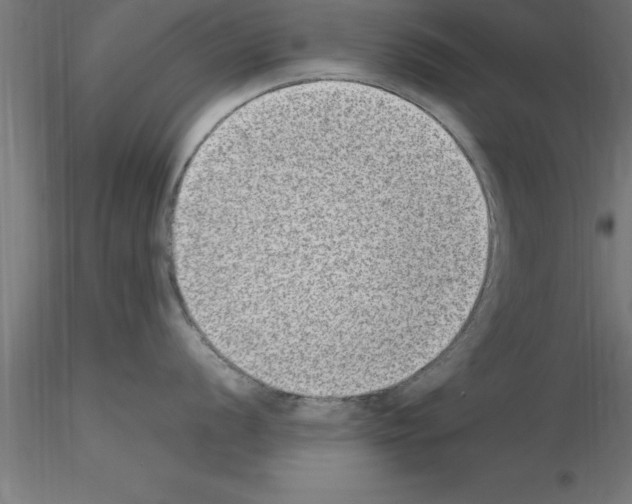 X0000115281056200912111222