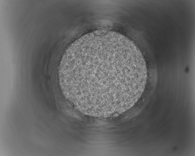 X0000115281057200912111221