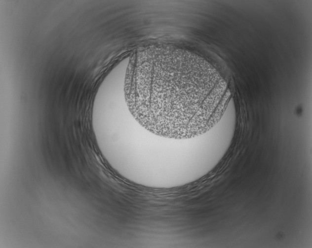 X0000115281060200912111221