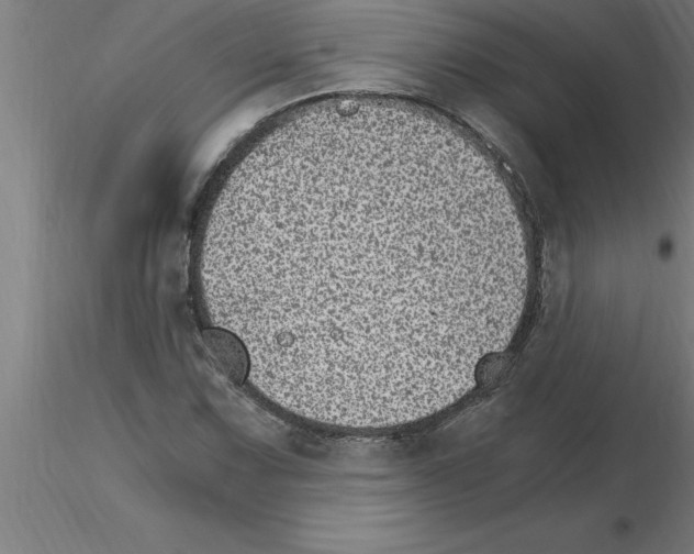 X0000115281067200912111221