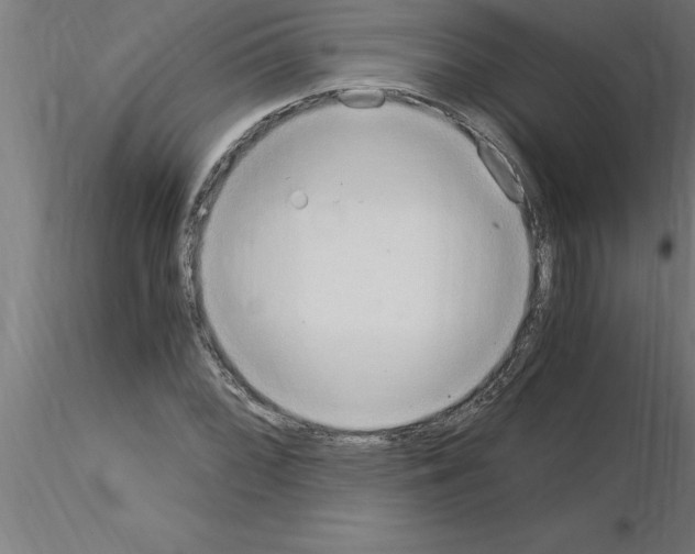 X0000115281068200912111221