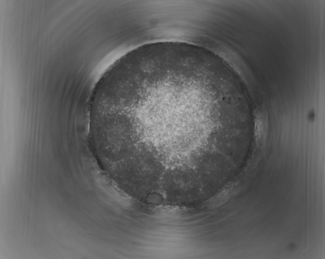 X0000115281069200912111221