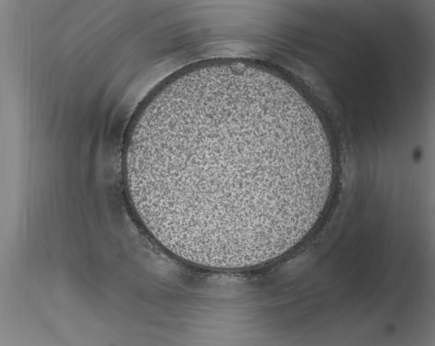 X0000115281073200912111221