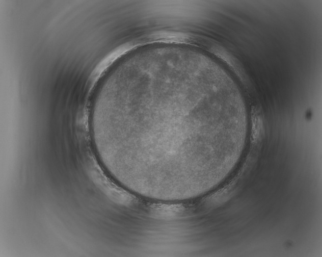 X0000115281074200912111221