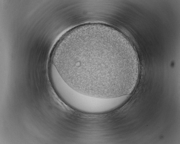 X0000115281076200912111221