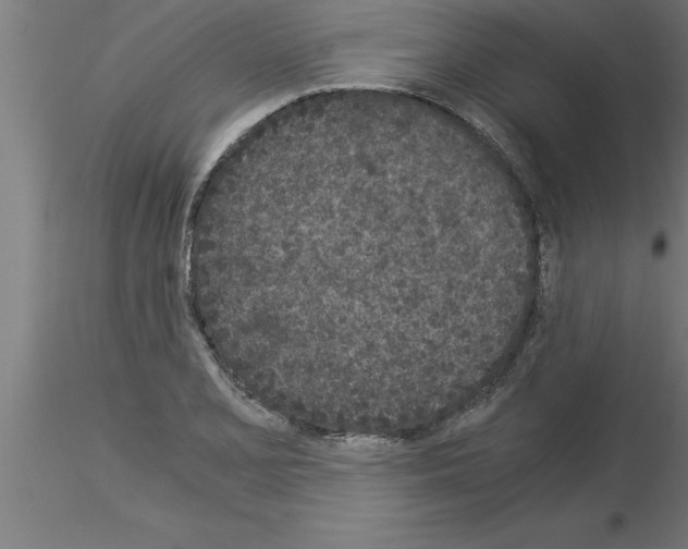 X0000115281077200912111221