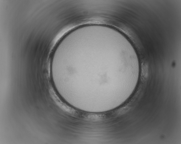 X0000115281078200912111221