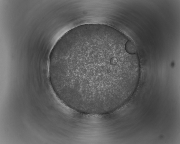 X0000115281079200912111221