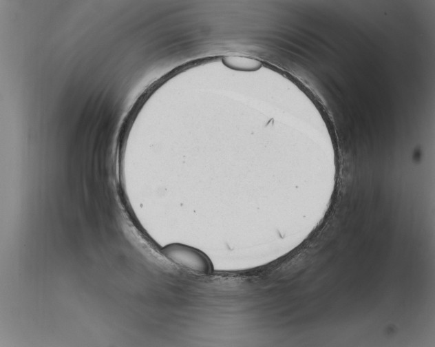 X0000115281080200912111221