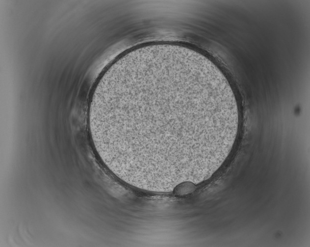 X0000115281081200912111221