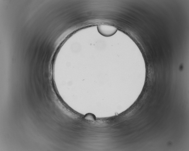 X0000115281082200912111221