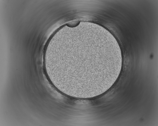 X0000115281083200912111221