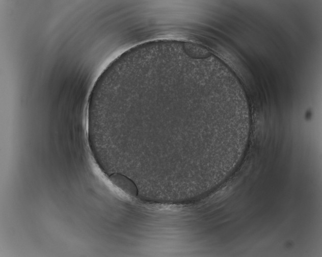 X0000115281084200912111221