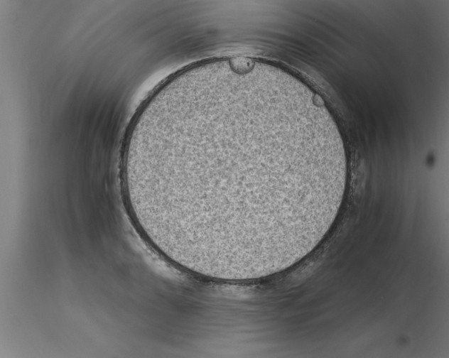 X0000115281086200912111221