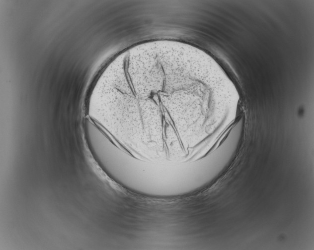 X0000115281088200912111220