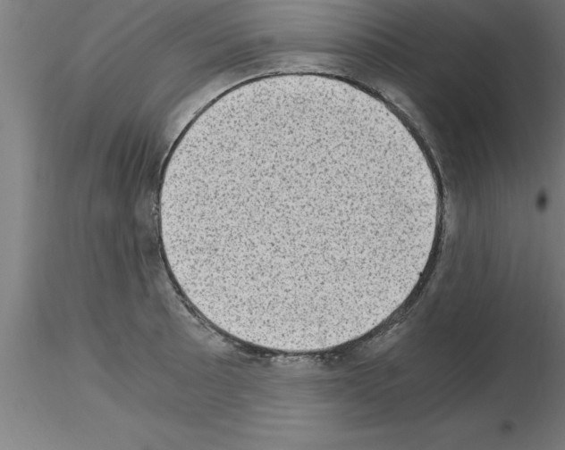 X0000115281089200912111220