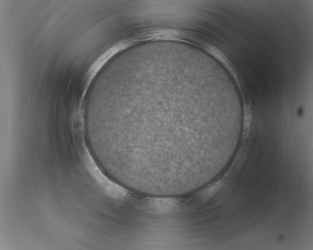 X0000115281090200912111220