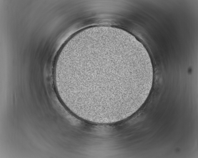 X0000115281091200912111220