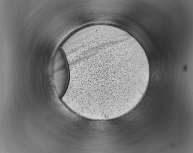 X0000115281092200912111220