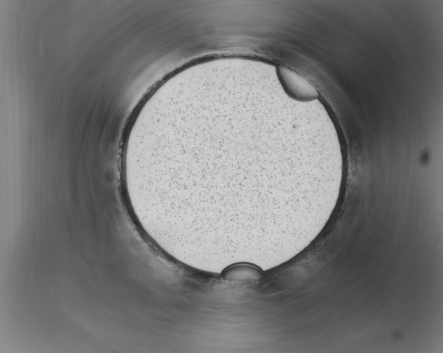 X0000115281093200912111220