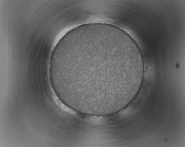 X0000115281094200912111220