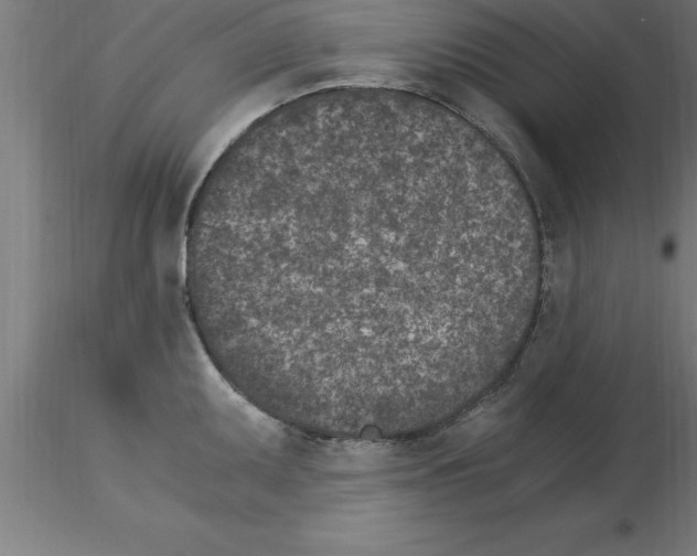 X0000115281095200912111220