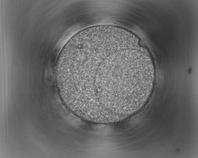 X0000115281097200912111220