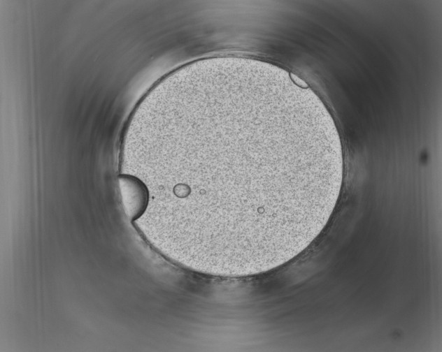 X0000115281099200912111220