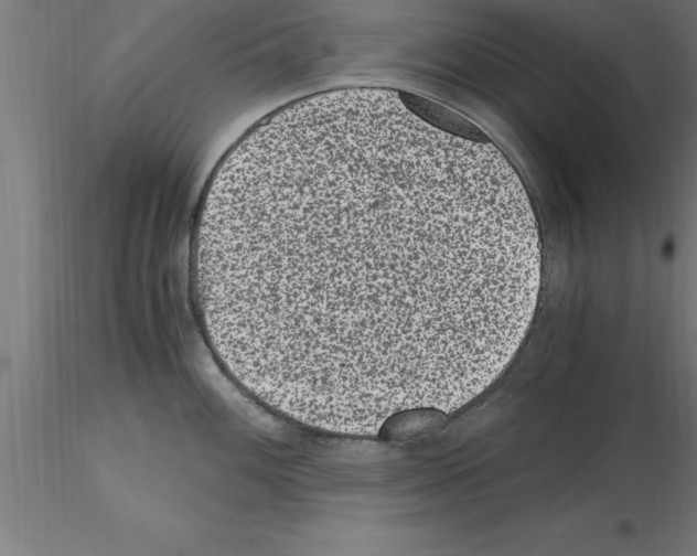 X0000115281100200912111220