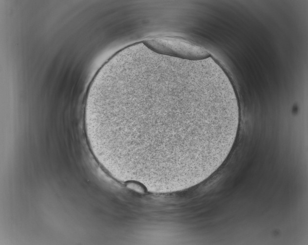 X0000115281102200912111220