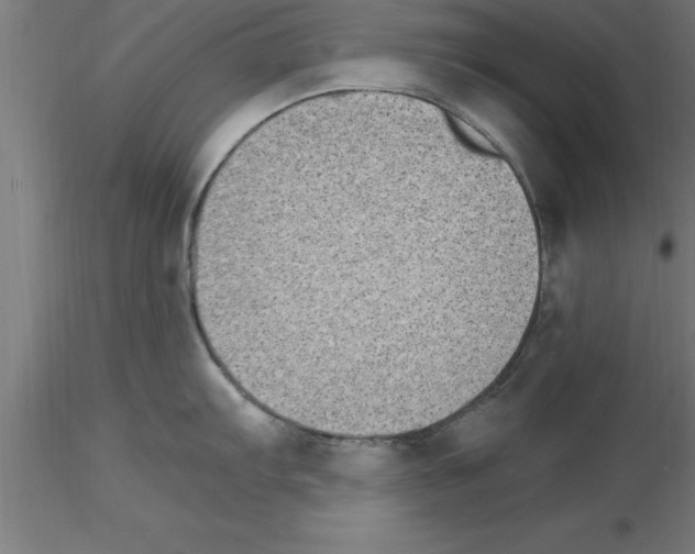 X0000115281103200912111220