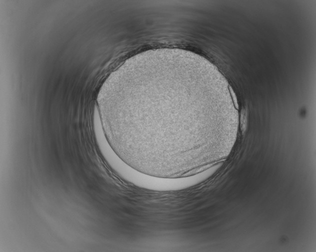 X0000115281107200912111220