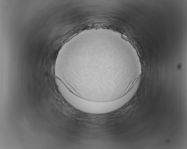 X0000115281109200912111220