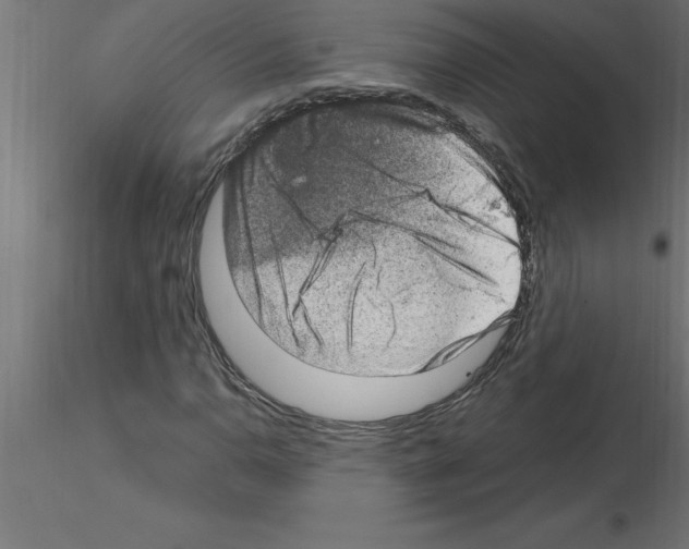 X0000115281110200912111220