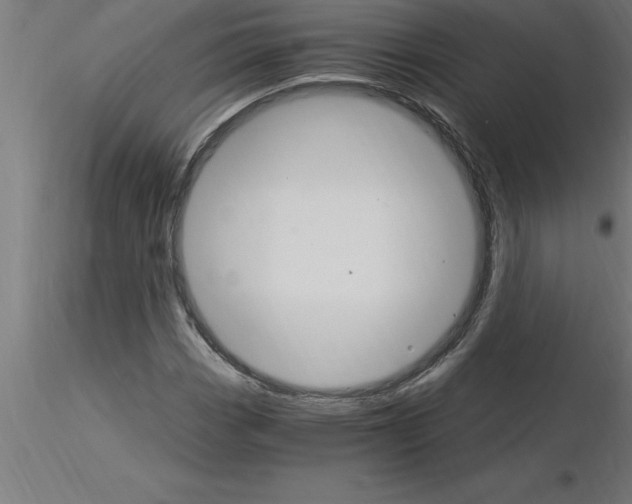 X0000115281113200912111220