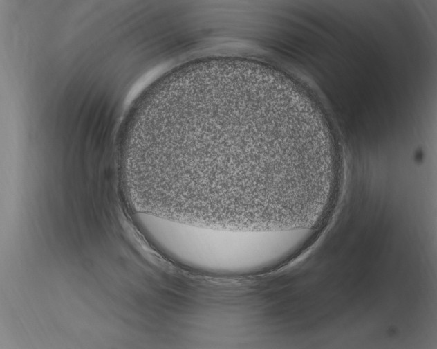 X0000115281114200912111220