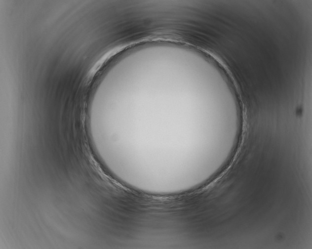 X0000115281115200912111220