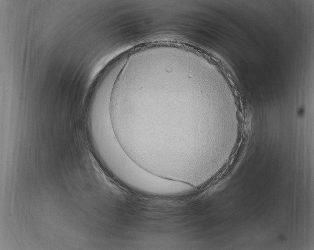 X0000115281117200912111220