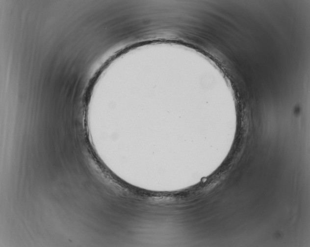 X0000115281118200912111220