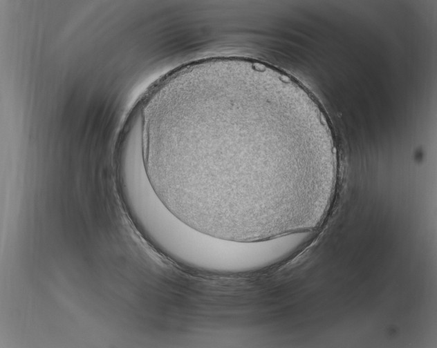 X0000115281119200912111220