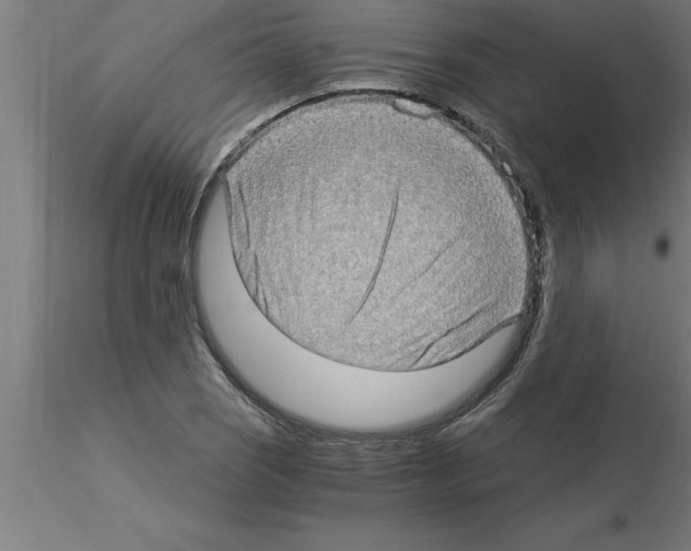 X0000115281121200912111220