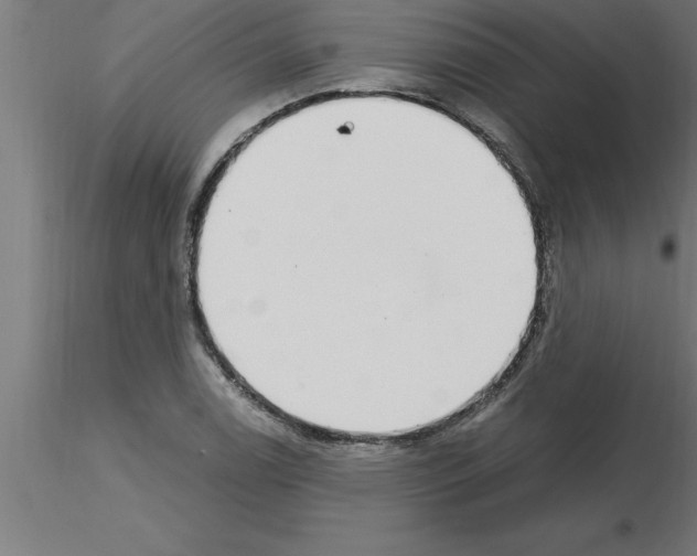 X0000115281122200912111220