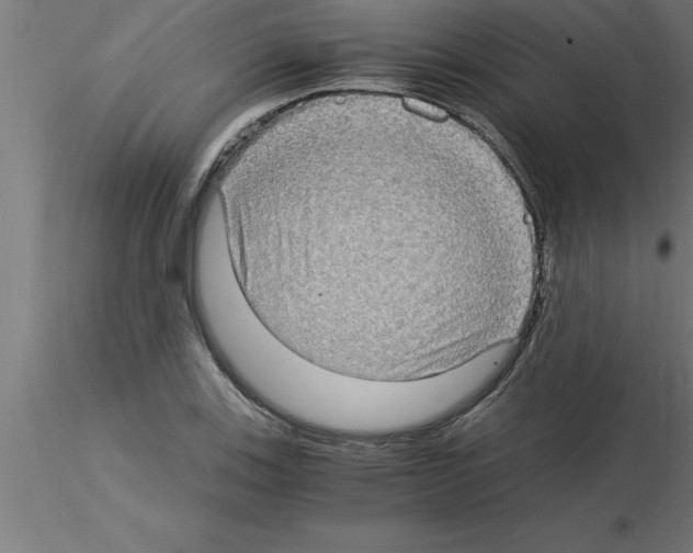 X0000115281123200912111220