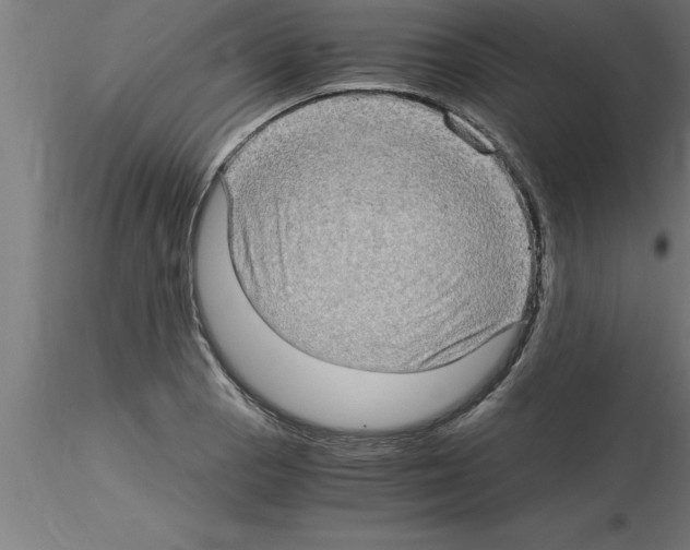 X0000115281129200912111220